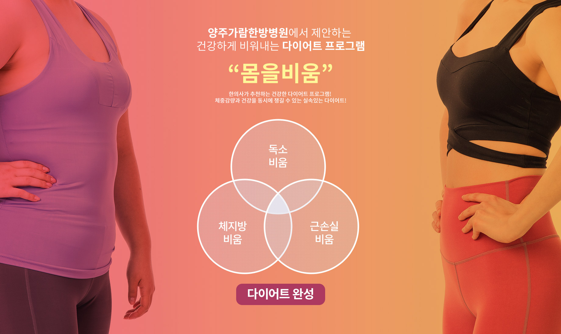 몸을비움 프로그램