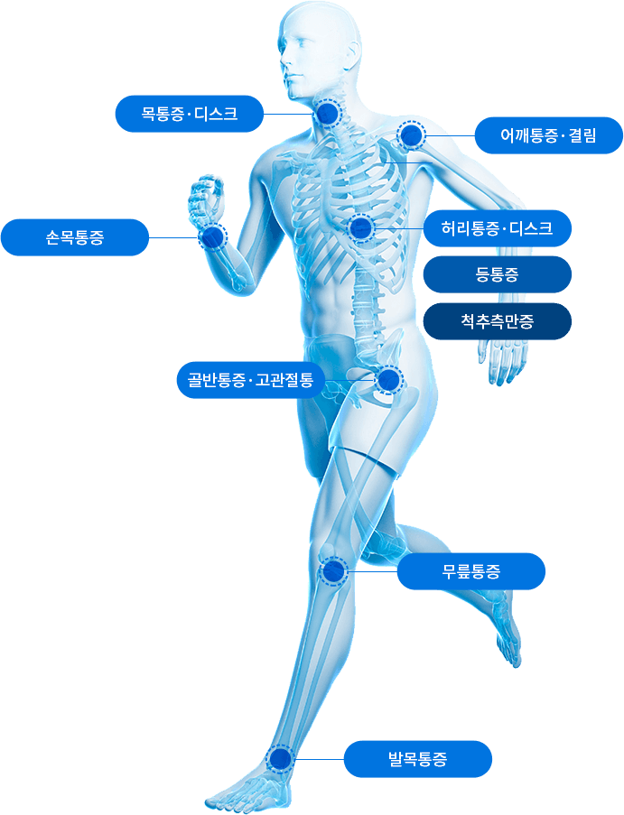 인체 골격 투시 사진